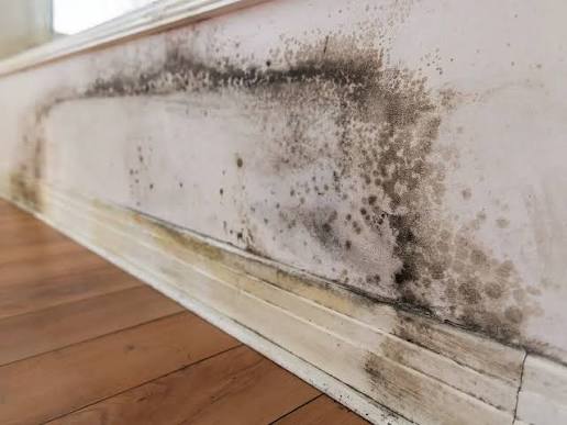 Moisture Problems